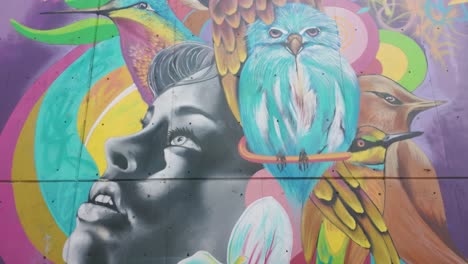 Vibrant-mural-in-Medellin's-Comuna-13-showcasing-woman-with-birds