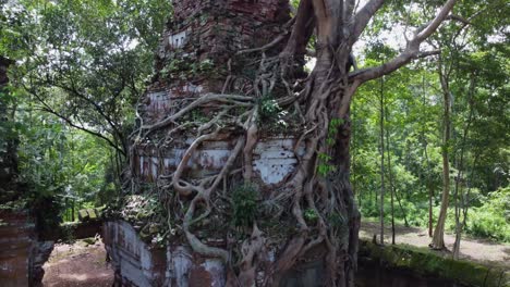 Aus-Der-Luft-Steigt-Ein-Alter-Kambodschanischer-Tempelturm-Hinauf,-Der-Mit-Baumwurzeln-Bedeckt-Ist