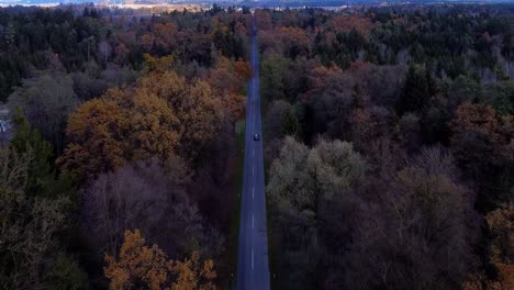 Disparo-De-Drones-De-Arriba-Hacia-Abajo,-Carretera-Con-Coche-En-El-Bosque-De-Otoño