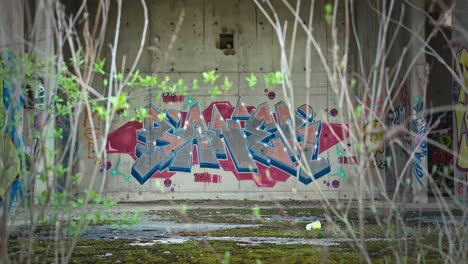 Vivid-graffiti-art-covering-walls-of-Zagreb's-abandoned-hospital,-a-canvas-of-urban-expression