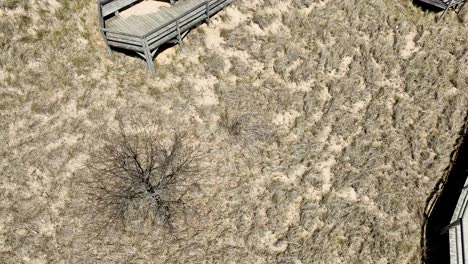 Aerial-drone-track-of-dunes,-paths,-and-plants