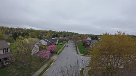 FPV-Sobre-La-Calle-En-El-Suburbio-De-La-Ciudad-Americana-Con-Cerezos-En-Flor-Rosa