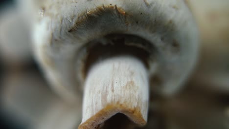 Macro-crisp-video-of-a-pile-of-mushrooms,-detailed-RAW-champignons,-white-caps-reflection,-on-a-rotating-stand,-smooth-movement,-slow-motion-120fps