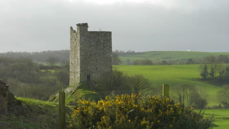 Ancient-Carrigaphooca-Castle-in-County-Cork,-Ireland,-amidst-green-fields-and-yellow-gorse-under-a-cloudy-sky