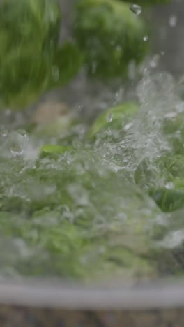 vertical-macro-food-close-up-of-Brussels-sprout-green-vegetable-falling-in-to-clear-water-restaurant-kitchen-vegan-diet