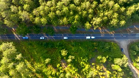 Vans-driving-along-a-road-through-pine-trees-forest-filmed-vertical-with-a-drone