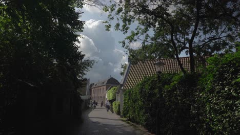 Wassenaar,-Traditionelles-Holländisches-Dorf-In-Den-Niederlanden,-Blick-Auf-Die-Grüne-Straße-Im-Sommer