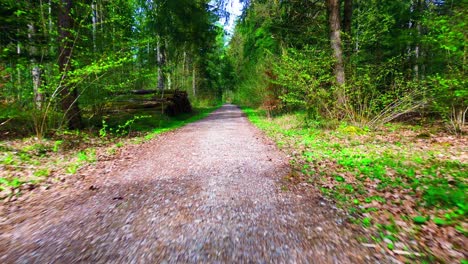 Einladender-Schotterweg-Durch-Grünen-Frühlingswald