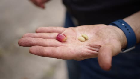 Close-up-of-Hispanic-man-holding-both-red-ripe-coffee-bean-and-coffee-seed-in-his-hand