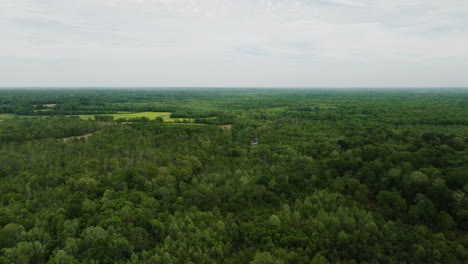 Expansive-aerial-view-of-Wolf-River's-lush-forests-in-Collierville,-Tennessee,-under-an-overcast-sky