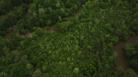 Aerial-shot-of-Wolf-River-snaking-through-lush-greenery-in-Collierville,-TN,-during-the-day