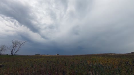 Faszinierender-Zeitraffer-Eines-Sommersturms-über-Einem-Feld-Und-Einem-Bauernhaus,-Während-Dunkle-Wolken-Aufziehen-Und-Regenschauer-Niederprasseln-Und-So-Ein-Faszinierendes-Schauspiel-Der-Kraft-Der-Natur-Erzeugen