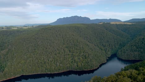 Tilt-drone-shot-of-dense-bush-forest-at-Lake-Barrington-with-Mount-Roland-in-background-near-Sheffield,-Tasmania,-Australia