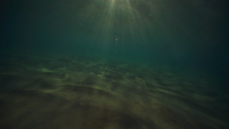 Dazzling-rays-of-light-sparkle-across-sandy-ocean-surface
