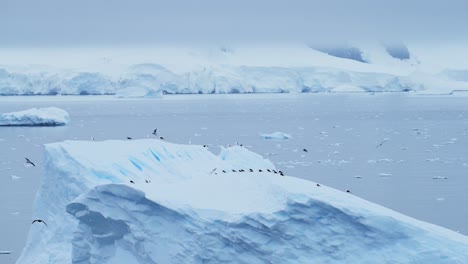 Bandada-De-Pájaros-Volando-En-El-Paisaje-Antártico,-Aves-Marinas-En-Vuelo-Volando-Entre-Icebergs-Y-Un-Glaciar-En-Un-Paisaje-Invernal-Con-Una-Increíble-Y-Espectacular-Escena-Cubierta-De-Hielo-Y-Nieve-Cubierta-De-Nieve
