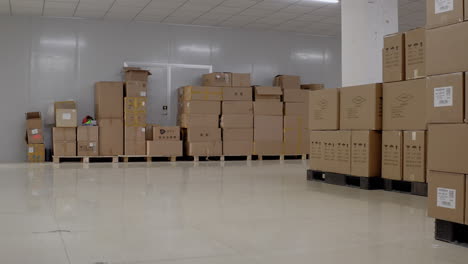 Boxes-neatly-stacked-in-a-warehouse
