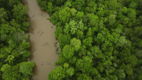 The-muddy-wolf-river-meandering-through-dense-green-forests-in-collierville,-tn,-daylight,-aerial-view