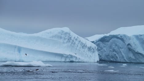 Toma-En-Cámara-Lenta-De-Aves-Marinas-Volando-En-El-Paisaje-De-La-Antártida,-Aves-En-Vuelo-Volando-Entre-Icebergs-En-Un-Paisaje-Invernal-Con-Una-Increíble-Y-Espectacular-Escena-Cubierta-De-Hielo-Y-Nieve-Cubierta-De-Nieve