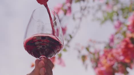 Rotwein-In-Glas-Gießen-Vor-Blühenden-Blumen,-Hand-Gehalten,-Weicher-Fokus-Auf-Hintergrund,-Tagsüber