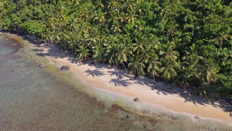 Empty-Playa-Ermitano-Beach-with-clear-Caribbean-Sea-water-in-front-of-palm-tree-forest