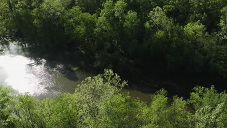 Wolf-river-flowing-through-lush-greenery-in-collierville,-tennessee,-sunlight-glinting-on-water,-aerial-view