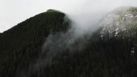 Timelapse-of-Clouds-Moving-Over-Dense-Forest-On-A-Windy-Day-At-Olympic-Peninsula-In-Washington-State,-USA