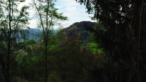 Slowly-moving-in-between-tree-branches-on-a-cloudy-day-to-reveal-Swiss-countryside