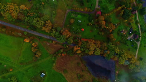 Top-Down-Aerial-View-Over-Autumn-multicolour-forest-near-lake-drone-video