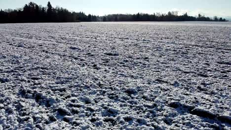 snowy-field-in-winter-fast-spectacular-droneshot