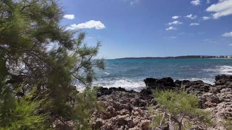 Waves,-sun-and-cypress-trees-in-Cala-Millor,-Majorca,-Spain