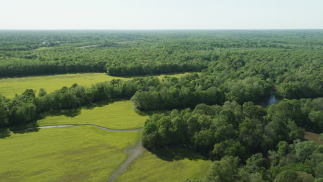 Río-Wolf-Que-Fluye-A-Través-De-Una-Exuberante-Vegetación-En-Collierville,-Tennessee,-Paisaje-Sereno,-Vista-Aérea