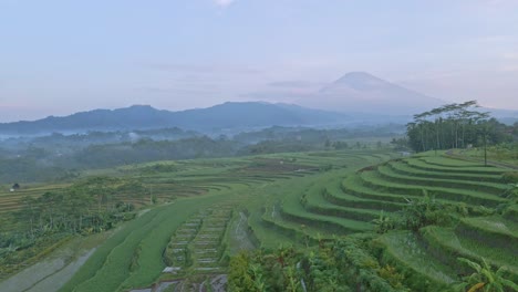 Der-Terrassierte-Hang-Eines-Hügels-Mit-Reisfeldern-In-Indonesien