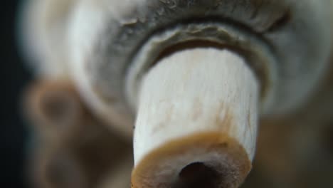 Macro-epic-video-of-a-pile-of-mushrooms,-detailed-RAW-champignons,-white-caps-reflection,-on-a-rotating-stand,-smooth-movement,-slow-motion-120fps