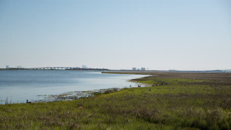 Geese-Fly-Out-of-Bay,-Past-Ocean-City-Skyline-in-Slow-Motion