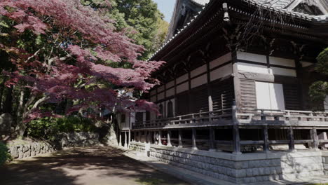 A-morning-at-Senpoji-Temple-in-Tokyo,-Japan