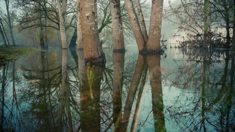 Trees-in-the-water-during-a-flood,-front-travelling-above-the-water,-Dordogne,-France