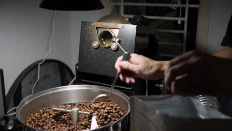 Man-inspects-roast-level-of-coffee-beans-in-cooling-basket-while-machine-continues-to-rotate