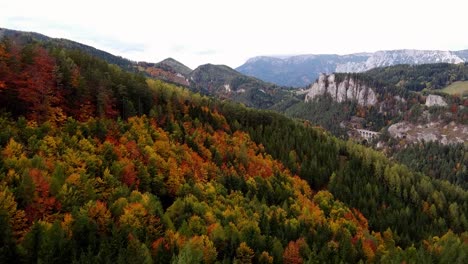 Hermoso-Bosque-Otoñal-En-Las-Montañas-Droneshot-Aéreo