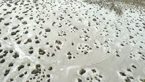 The-Stunningly-Beautiful-Arid-Desert-Scenery-of-Baja-California-Sur,-Mexico---Aerial-Drone-Shot