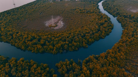 Global-Pagoda-in-india-Drone-shot---Goldy