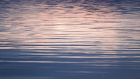 Olas-Y-Ondulaciones-En-La-Superficie-Del-Agua