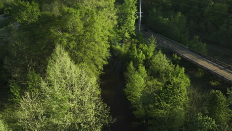 Aerial-shot-of-Wolf-River-flowing-through-lush-greenery-in-Collierville,-TN,-in-bright-daylight