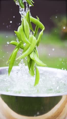 vertical-close-up-of-fresh-organic-raw-green-peas-washed-in-clear-clean-water-healthy-vegan-vegetable-diet