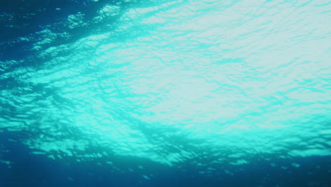 Eine-Sich-Aufbauende-Welle-Steigt-Auf-Und-Schimmert-Glühend,-Während-Sie-über-Den-Surfer-Hinwegfegt,-Unter-Wasser