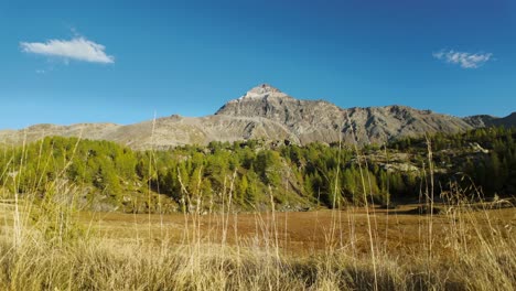 Fahrt-Durch-Die-Landschaft-Mit-Den-Valmalenco-Alpen-Im-Hintergrund