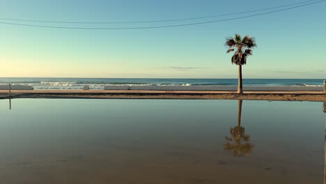 Blick-Von-Unten-Auf-Eine-Wasserfläche-Vor-Dem-Meer-Mit-Einer-Palme