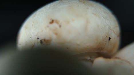 Macro-video-of-a-pile-of-mushrooms,-RAW-champignons,-WHITE-CAP,-on-a-rotating-stand,-smooth-movement,-slow-motion-120-fps