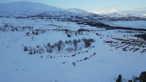 Toma-De-Drones-De-Un-Equipo-De-Trineos-Tirados-Por-Perros-Moviéndose-En-Tromso,-Noruega,-Durante-El-Invierno-Con-Nieve