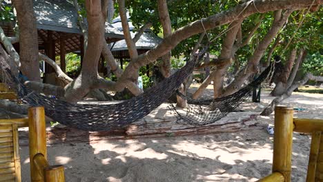 Calm-scenery-with-hanging-hammocks-on-stunning-beach