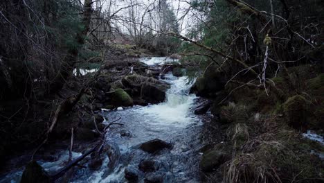 Mountain-Water-Stream-In-Forest-Of-Indre-Fosen,-Norway---Wide-Shot